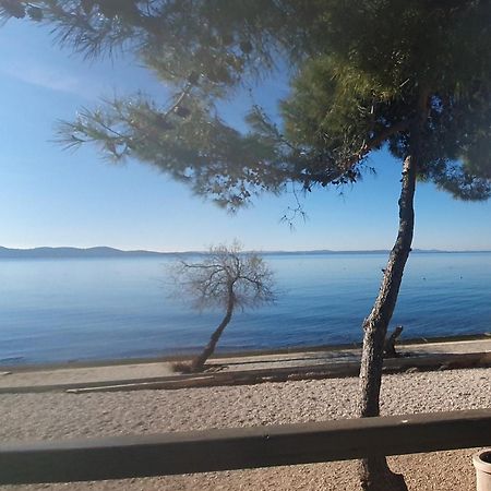 Apartment Zadar - Pine Diklo ภายนอก รูปภาพ